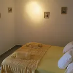 Dani 3