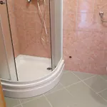 Dani 3 *